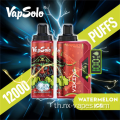 Vapsolo Viking 12000 Puffs Hookahprice